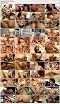Школа твёрдых членов / School of Hard Cocks (2017)