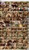 Оргия в доме престарелых / Nursing Home Orgy (2015)