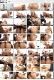 Массивные aнальные задницы 3 / Massive Anal Booty 3 (2017)