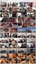Полураздолбанные мамки / Amateur MILFS Uitgewoond (2017)